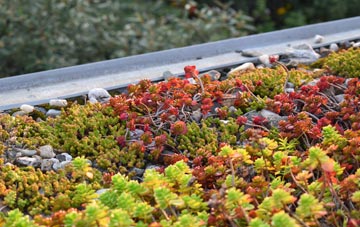 the cost of Purewell green roof installation