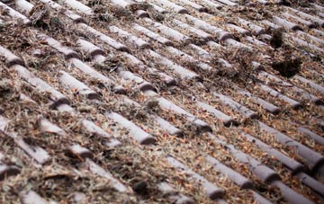 Purewell roof cleaning companies