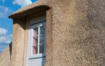 Purewell thatch roof disadvantages